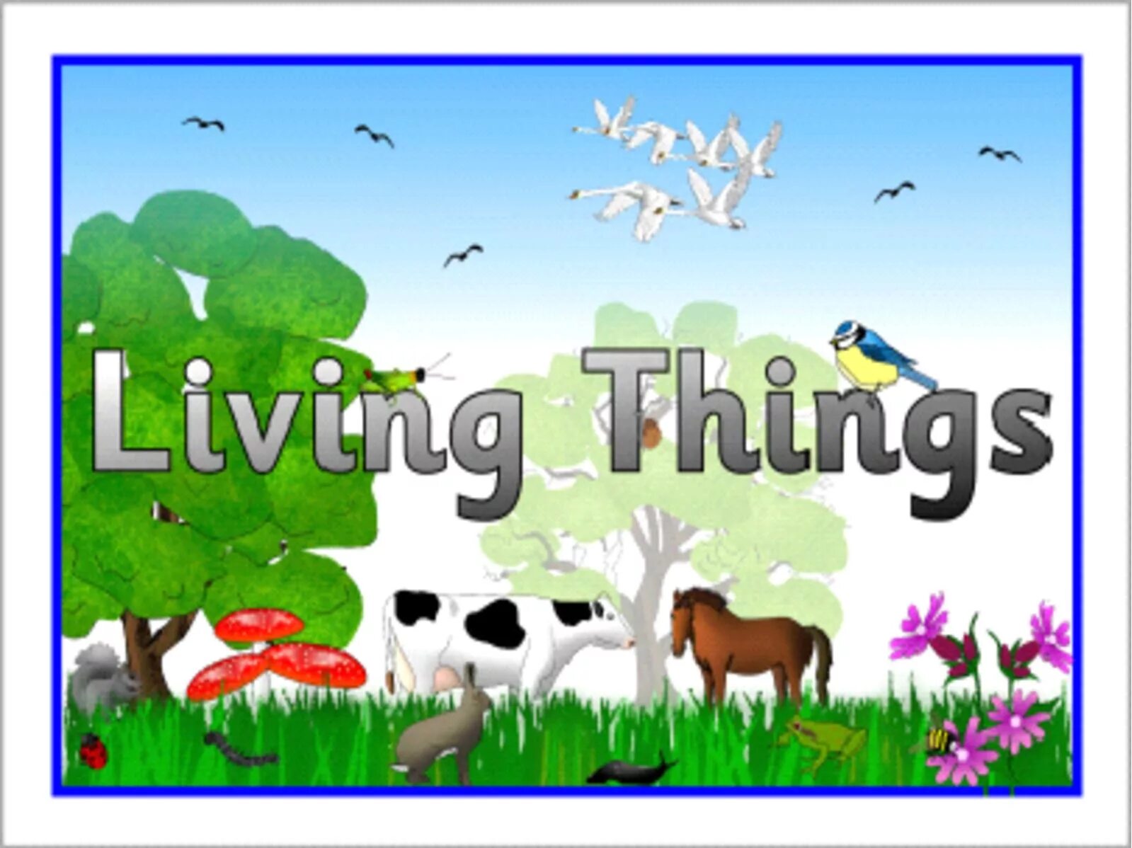 Living things. Living things for Kids. Linkin Park Living things обложка. Things around us. Living things around us контрольная работа