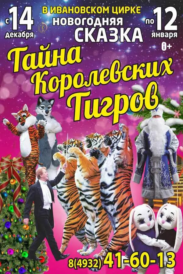 Тайна королевских тигров цирк Иваново. Афиша цирка. Ивановский цирк афиша. Цирк Иваново. Цирк новосибирск афиша на март 2024