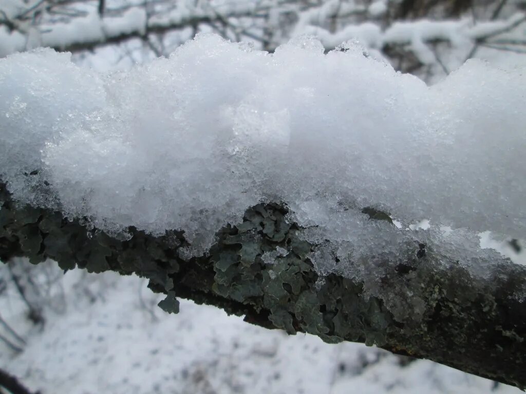 Корка снега. Снежура это снег. Леденеющий снег. Корка на Снежном Покрове.