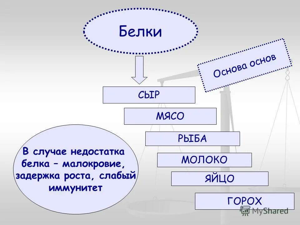 Белковая основа