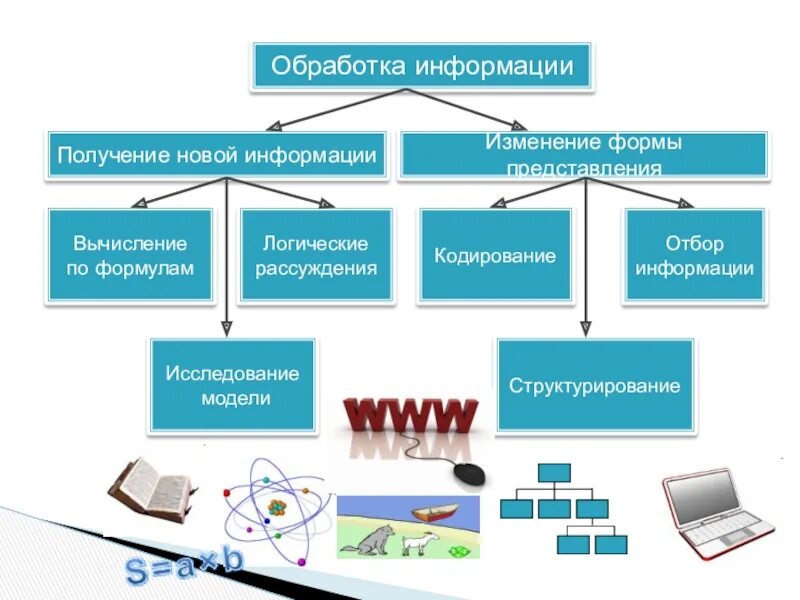 Виды информации процессов. Информация и информация процессы. Информационные и информационные процессы. Информационные процессы в информатике. Информационные процессы доклад по информатике.
