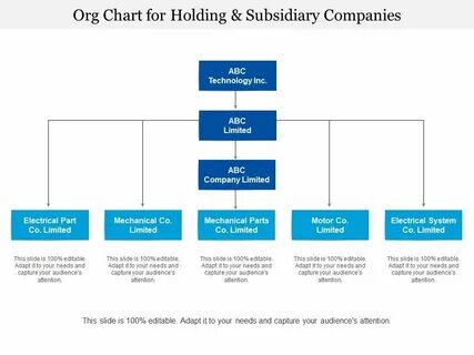 Subsidiary company