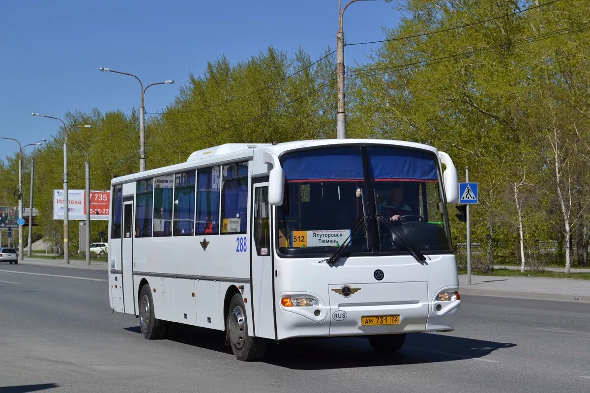 маршрут автобуса ялуторовск. 00. автовокзал ялуторовск. автобус ялуторовск по городу 2021. лиаз 5256 ранний синий.