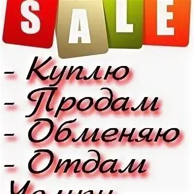 Бобруйск объявление продам отдам
