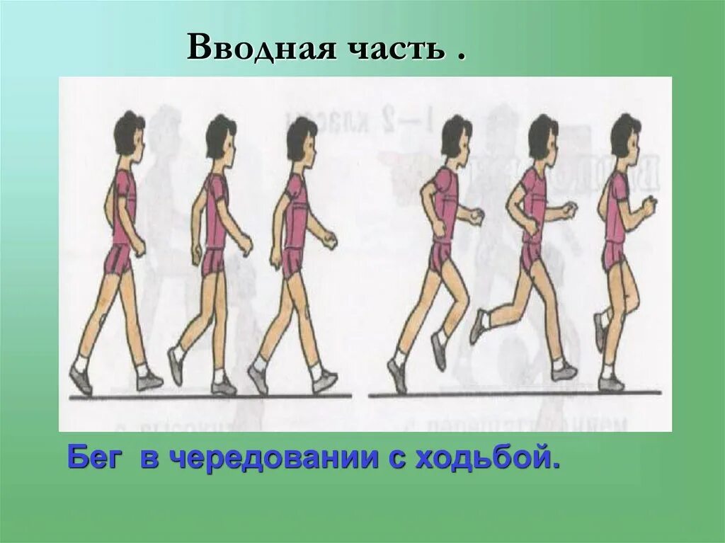 Равномерный бег на длинные дистанции. Равномерный бег чередующийся с ходьбой. Чередование ходьбы и бега. Обычный бег в чередовании с ходьбой. Упражнения в ходьбе.