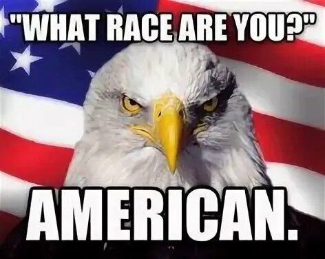Are you american no i. America memes eagle. you ungrateful. you&#039;re welcome america.