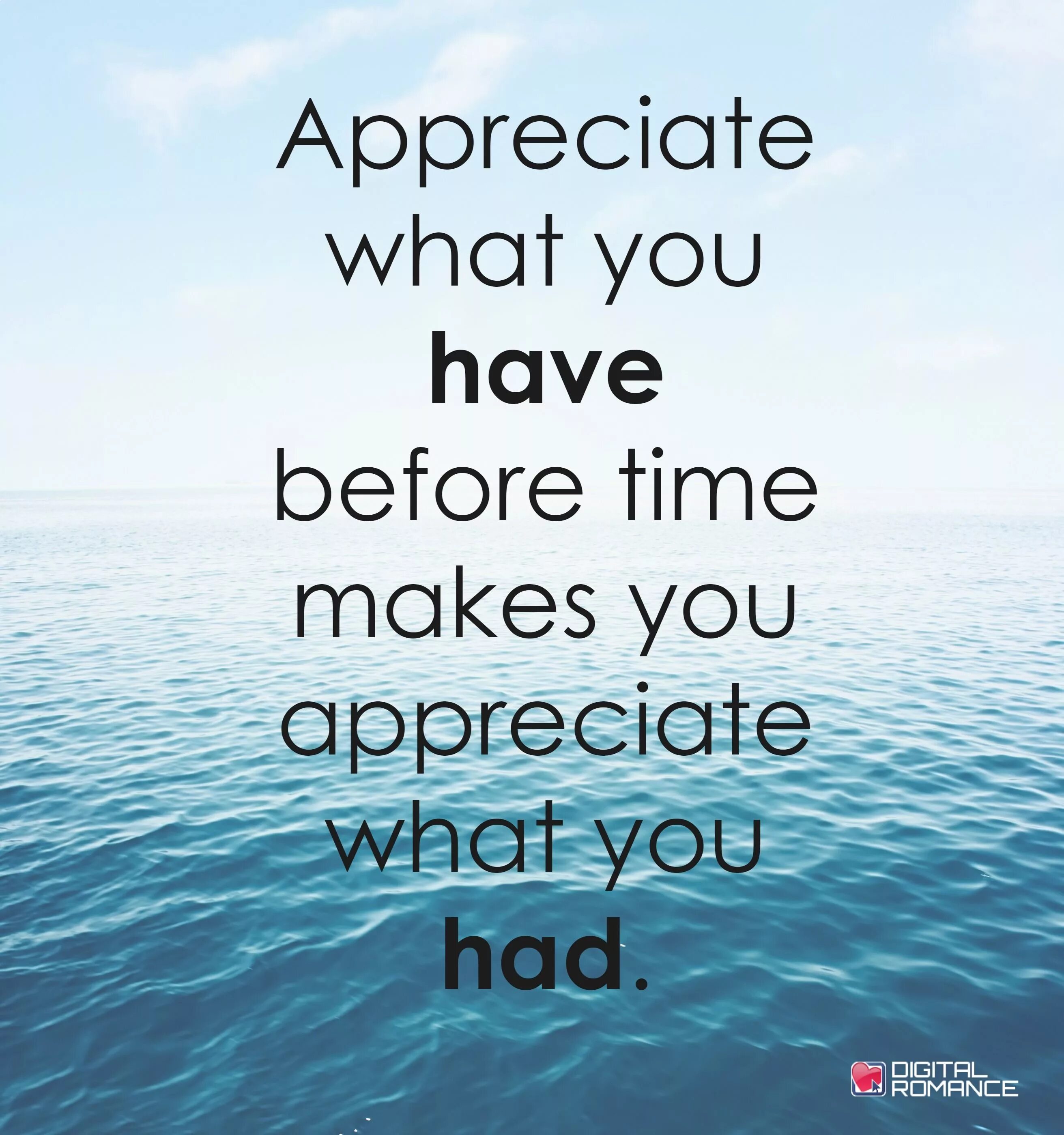 Have you translate the article yourself. Appreciate. appreciate what you have. appreciate life. appreciate your life.