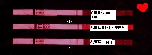 Дополнительное профессиональное образование тесты. 8 ДПО тест на беременность. Тест на беременность на 8 день после овуляции. 7 ДПО тест на беременность. Тест на 7-8 день после овуляции.