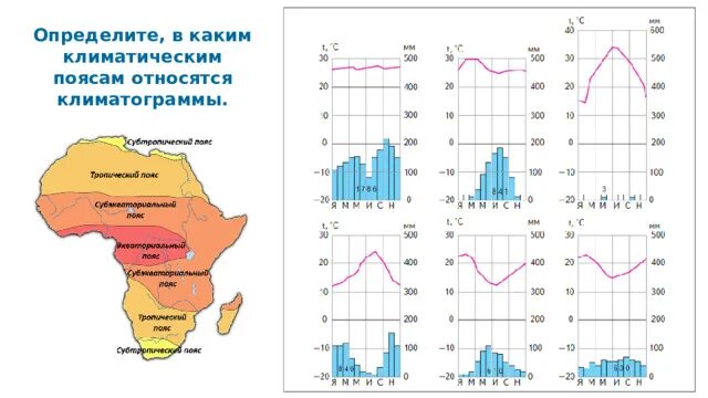 Климатограмма северной америки. Климатограммы поясов Африки 7 класс. Климатограммы климатических поясов Африки. Климатограммы Африки 7 класс география. Климатограмма тропического климата.