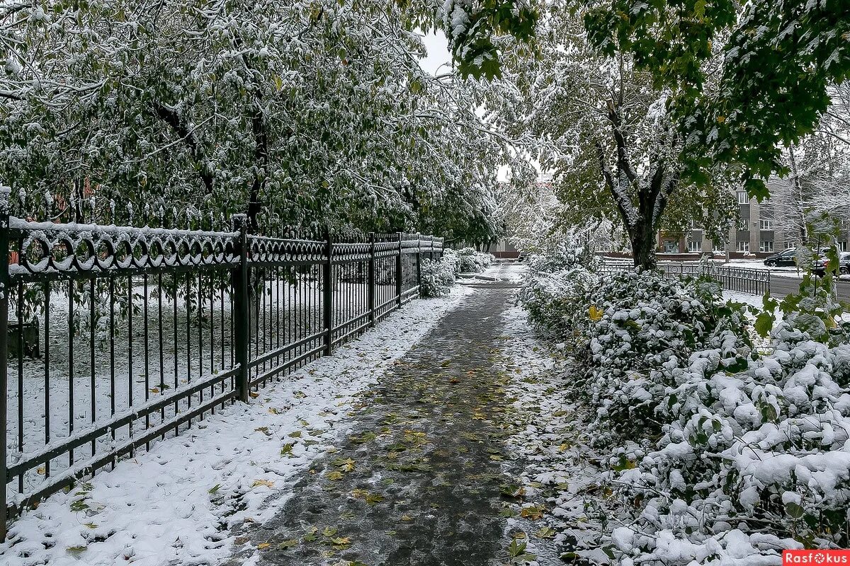 Первый снег герои. Череповец первый снег. Снег в Череповце. Снег город забор.