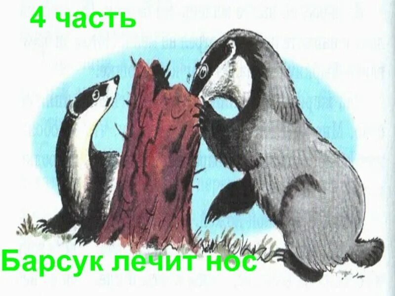 Барсучий нос распечатать текст полностью. Паустовский барсук барсучий нос. Барсучий нос иллюстрации к рассказу. К. Паустовский "барсучий нос". Рисунок к сказке барсучий нос.