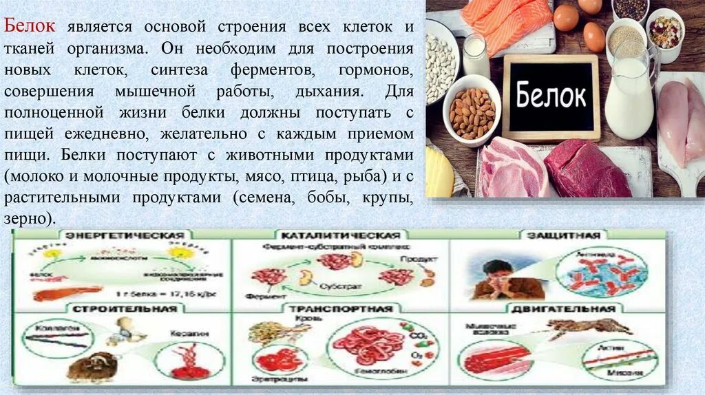 Основой белка является