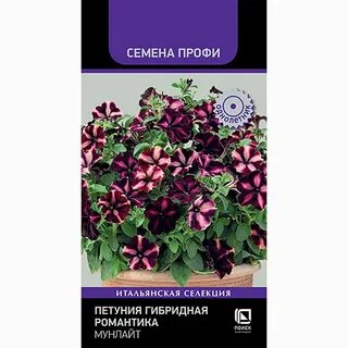 Петуния романтика