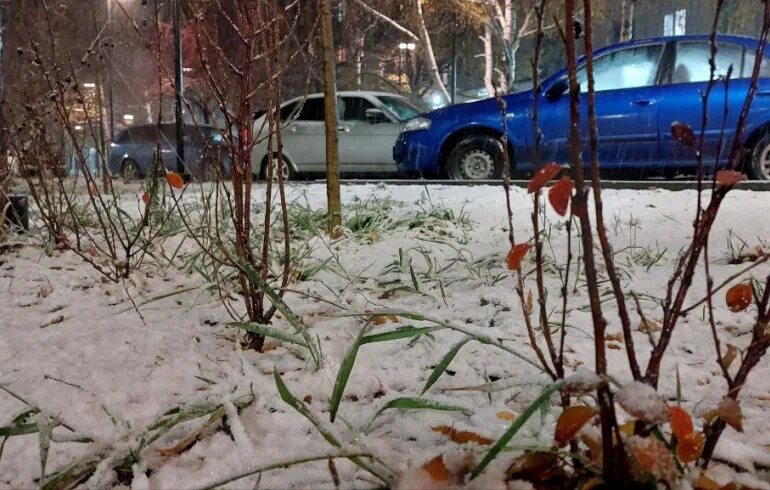 Погода в рузе сегодня. Снег в подмосковном. Второй снег. Со вторым снегом. Снегопад в Рузе сегодня.