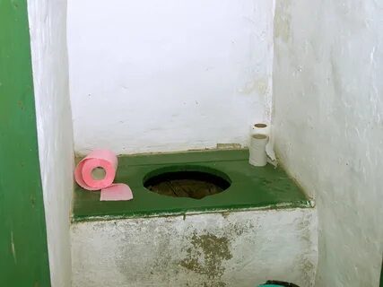 Стебли туалеты