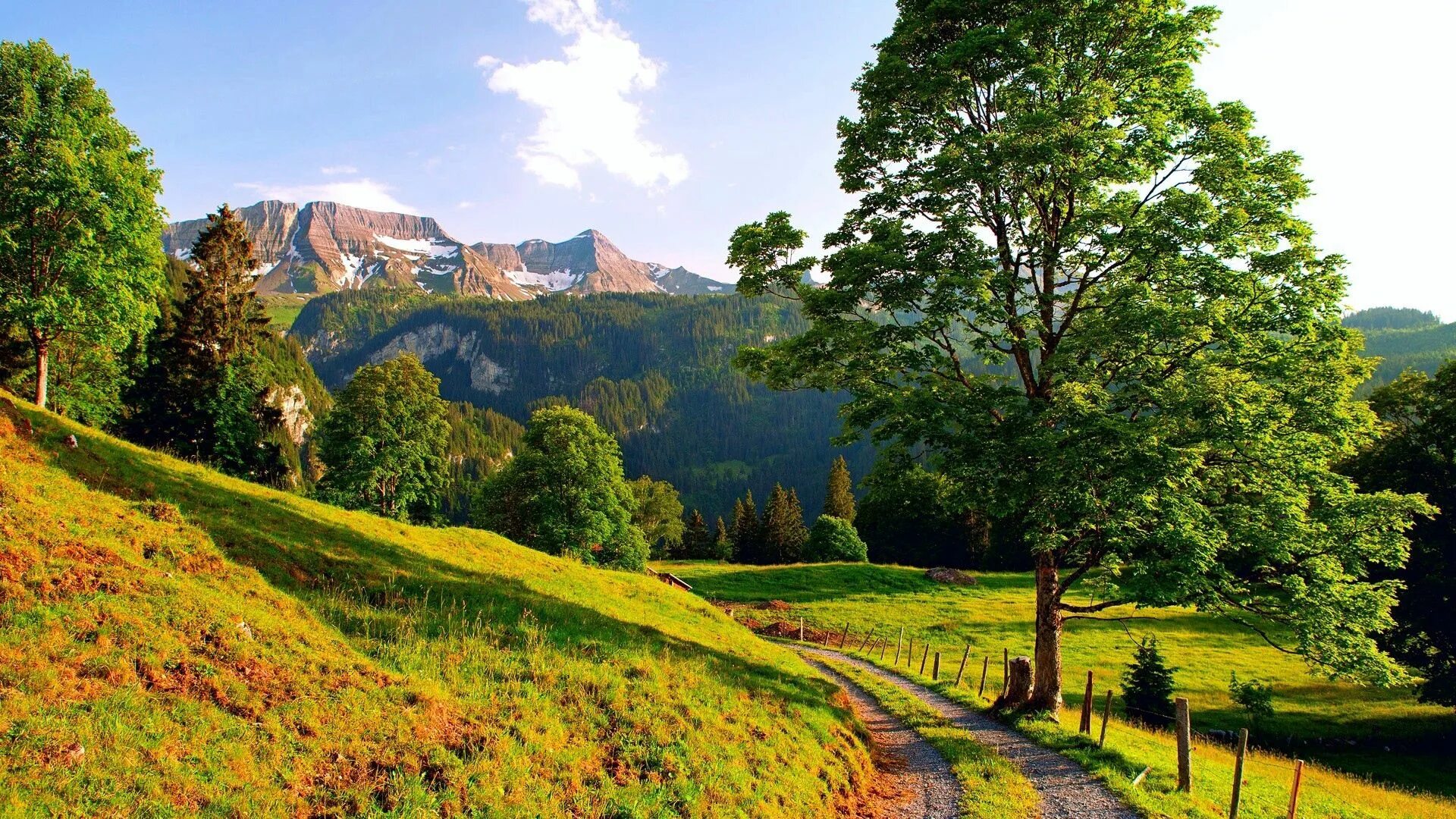 Natural view. Альпийские Луга Франции. Альпы Швейцария 1366х768 лето. Пейзаж. Красивый пейзаж.