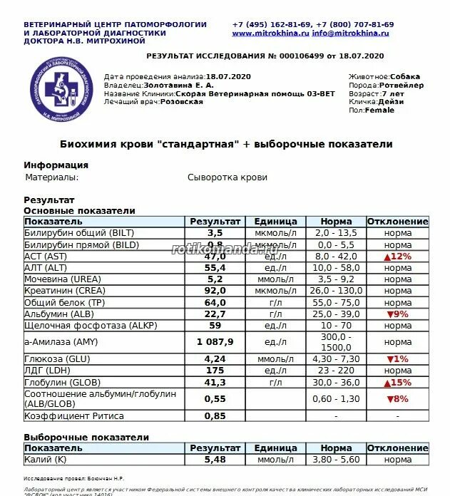 Анализ крови при заболевании печени. Норма билирубина в крови. Билирубин норма.