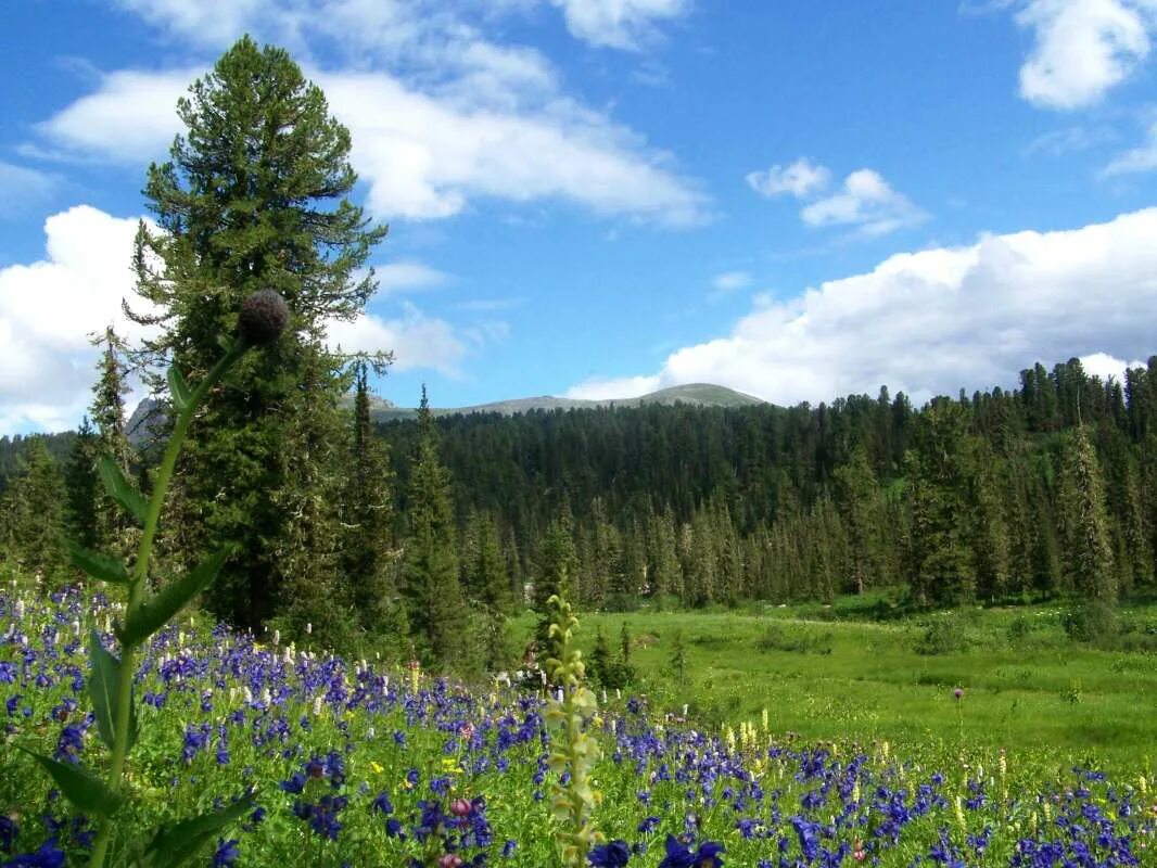 саянская красноярский край рыбинский район зимой. поселок саянский рыбинский район. посёлок саянский красноярский край рыбинский район. работа саянская красноярский край. станция саянская рыбинский район красноярский край.