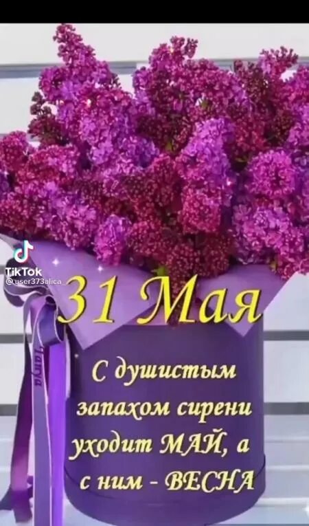 Разливался аромат огэ. Разливался аромат огэ