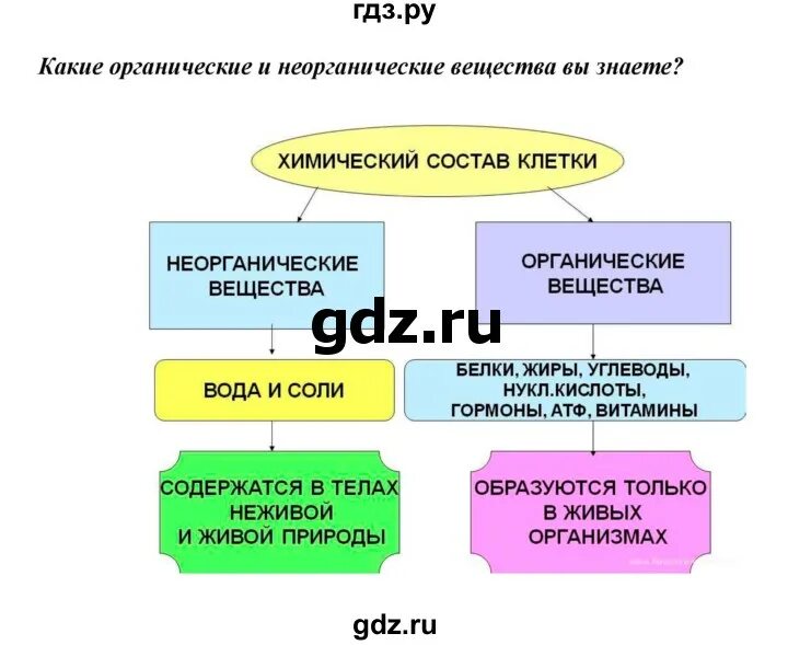 Урок 16 биология. Биология 5 класс параграф 16. Биология шестнадцатый параграф 5 класс. Биология 5 класс гдз параграф 16. Биология 5 класс параграф 16 краткий пересказ.