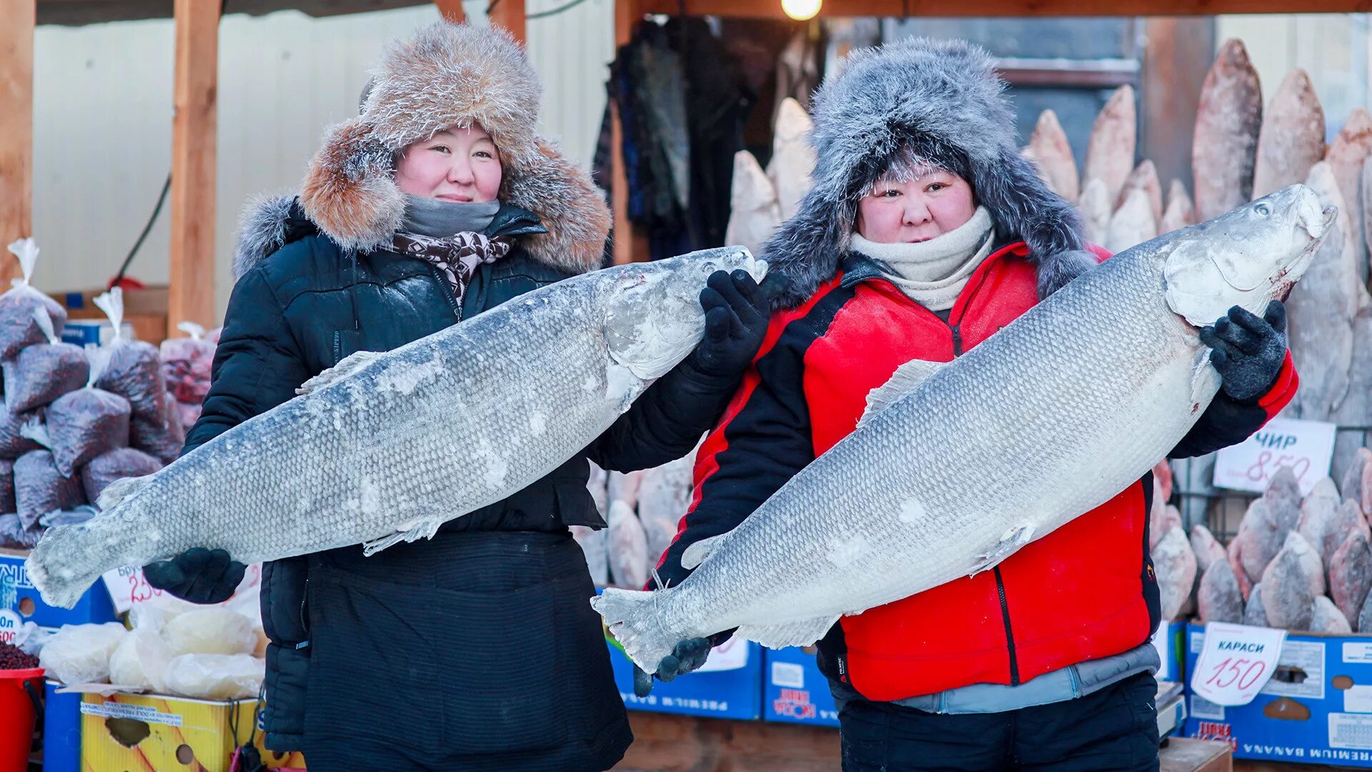 Якут рыба. Якутск Мороз рыба рынок. Рыбный рынок в Якутске. Рыба в Якутии на рынке. Снежная рыба.