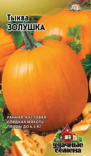 Тыква золушка описание сорта. Тыква золушка гавриш. тыква золушка 1г гавриш. семена тыква кустовая оранжевая, 1,0г, гавриш. тыква золушка семена.