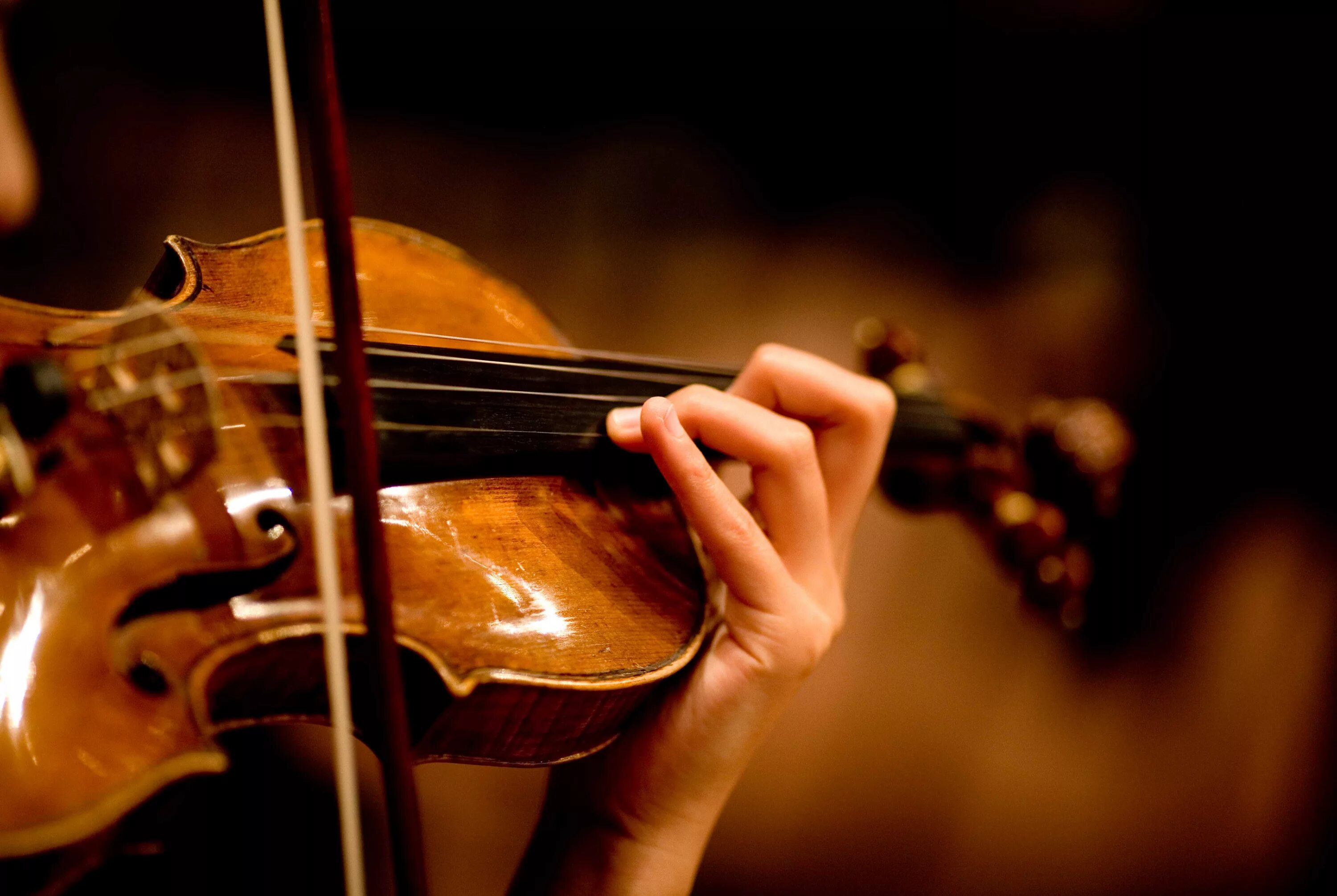 You like classical music. Скрипка. Скрипка картинка. Красивая скрипка. Скрипка в руках скрипача.