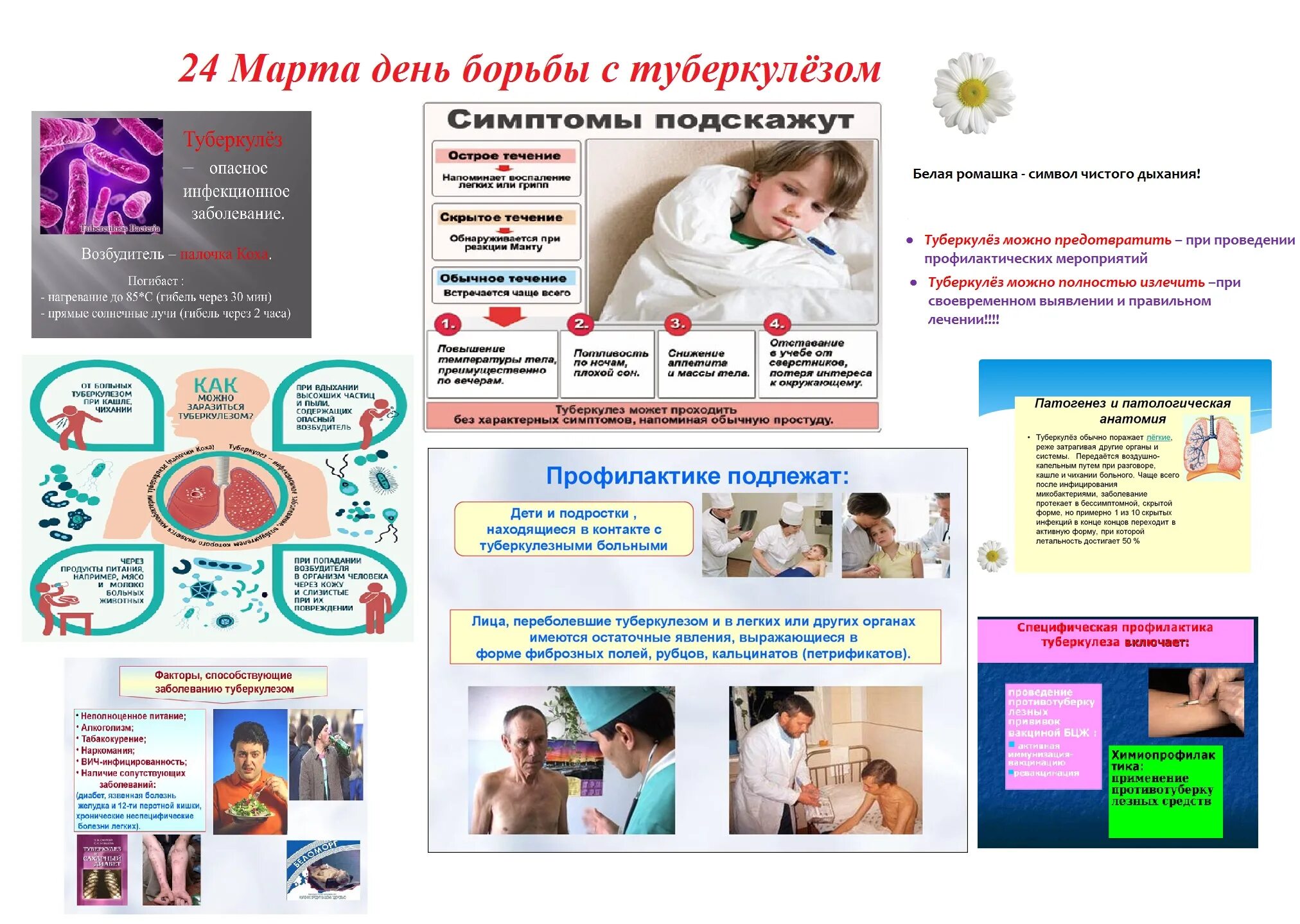 Неделя профилактики мероприятия. День борьбы с туберкулезом. Стенд день борьбы с туберкулезом. Всемирный день туберкулеза. Слоган борьбы с туберкулезом.