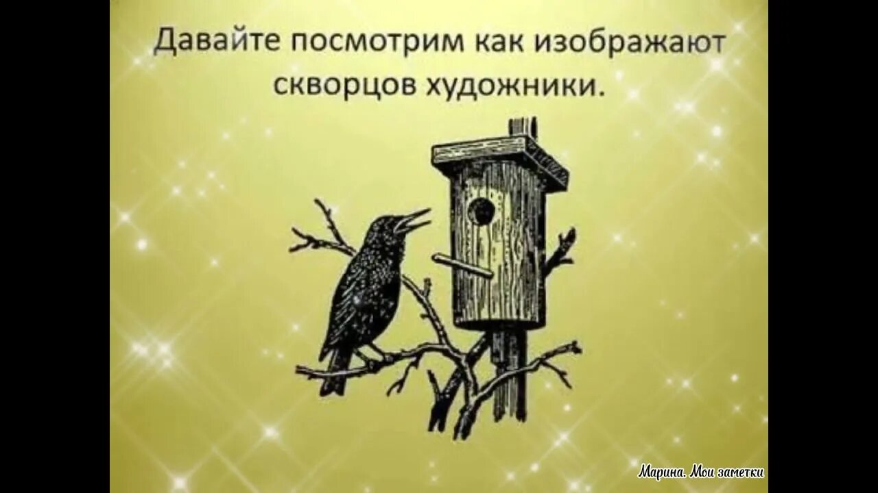 А скворушка завистлив был к несчастью схема. Скворец рисунок. Скворцы прилетели. Скворцы прилетели рисунок.