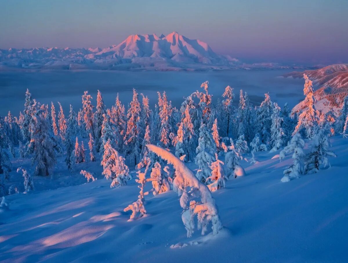 Сопки в Якутии зимой. Дальний Восток Республика Саха Якутия. Саха Якутия природа зимой. Зимняя Тайга Якутии. Якутский снег