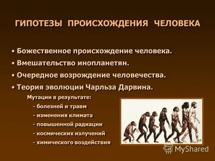 Аномалия теория происхождения человека