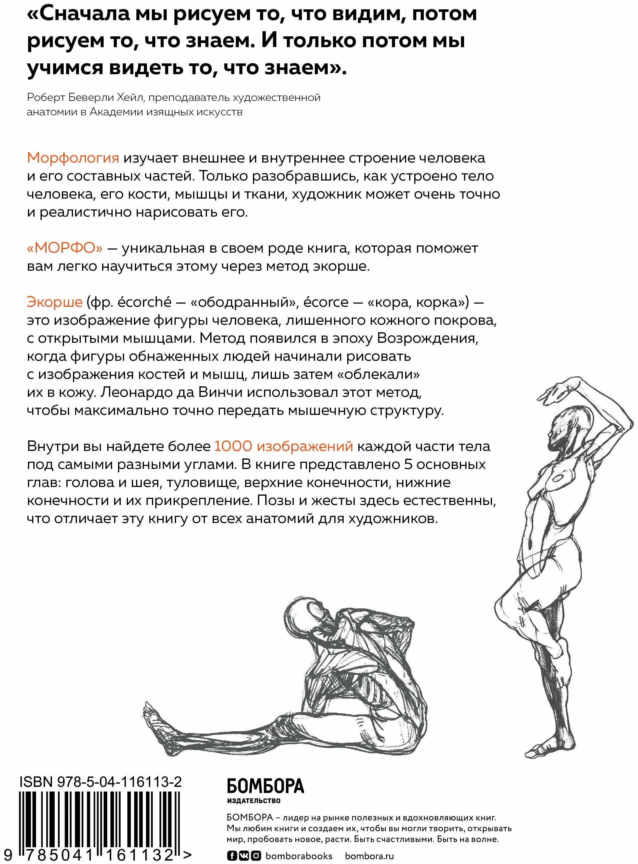 морфо анатомия для художников. Morpho анатомия для художников. морфо анатомия для художников. Morpho anatomy for artists pdf. книга морфо анатомия для художников.