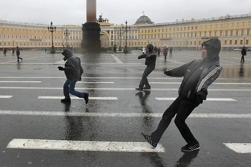 Возле представлявшего сильно