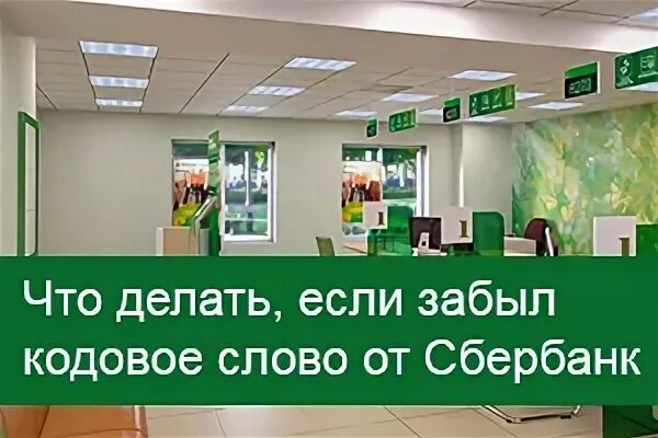 Что делать если сбербанк