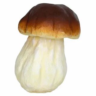 Детский боровик