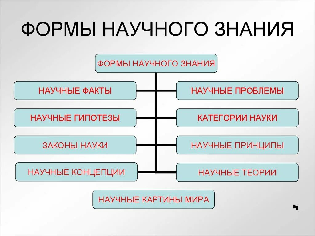 Знания виды знаний модель знаний. Формы научногтпознания. Формы научного знания. Виды научного познания. Формы знания научного познания.