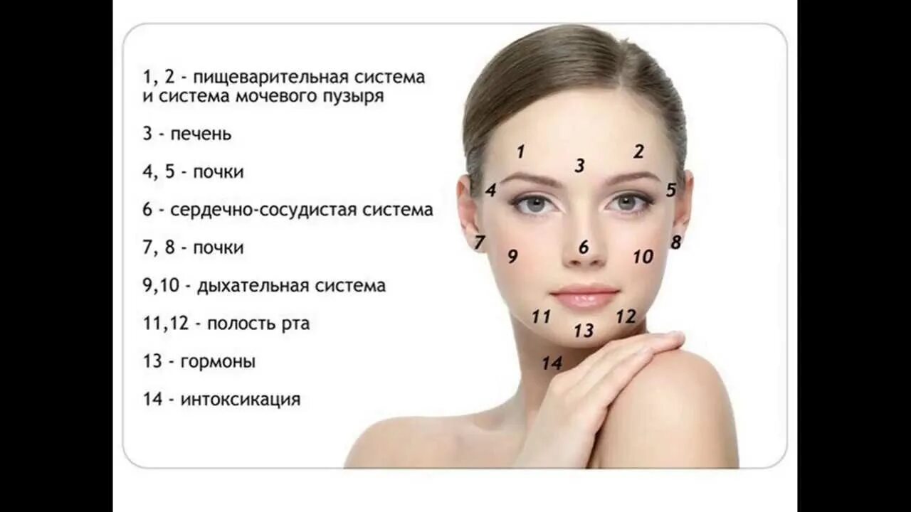 Что значат прыщи на лбу у девушки. Зоны высыпания прыщей на лице. прыщи на лице причины. карта прыщей на лице. зоны появления прыщей.
