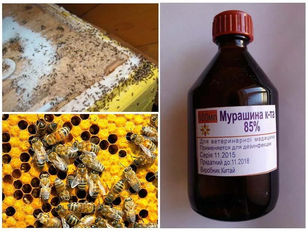 Муравьиная кислота купить в аптеке цена. Для борьбы с пчелами средства. Средство для избавления от пчел. Мурашина кислота. Препараты для муравейника.