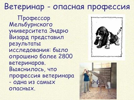 Плюсы ветеринара