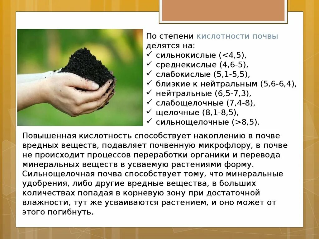 Повышение кислотности почвы. Кислотность почвы. кислая почва это как. кислые почвы типы. повышенная кислотность почвы.