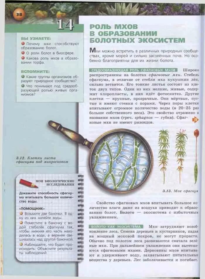 Биология 7 класс 14 параграф Сухорукова. Биология 7 класс учебник Сухорукова. Биология 7 класс Сухорукова параграф 16. Учебник по биологии 7 класс Сухорукова. Биология 7 класс подумайте