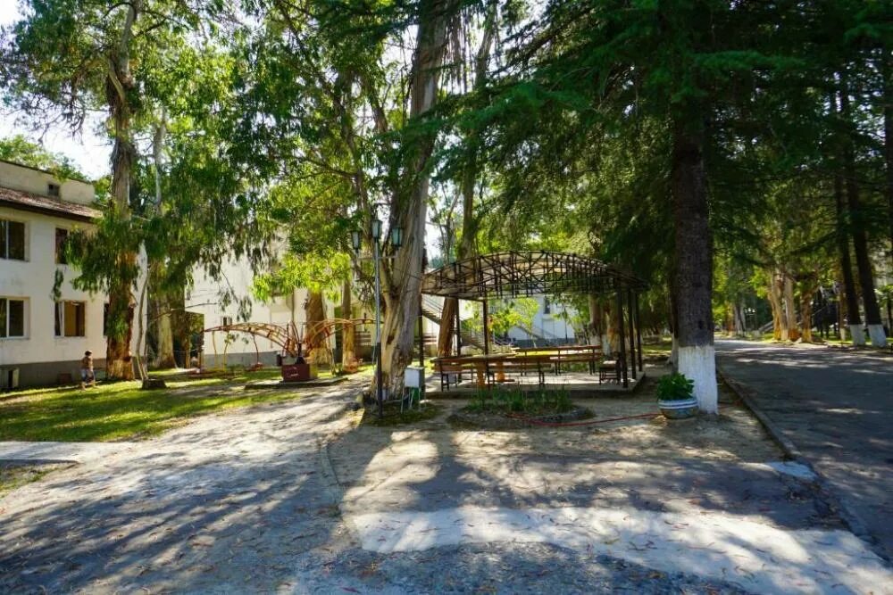 Эвкалиптовая роща сайт. "эвкалиптовая роща", пансионат 2* (очамчира). Эвкалиптовая роща сайт. Абхазия очамчира эвкалиптовая роща. Кындыг абхазия эвкалиптовая роща.