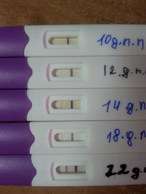 Тесты при поздней имплантации эко. Тесты после переноса эмбрионов. Тесты после поздней имплантации пятидневок. Тесты после переноса эмбрионов пятидневок.