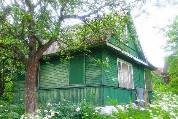 Садоводства красное село. Садоводства красное село. Садоводство корвет тосно. Садоводство ветеран красное село. Садоводство северная верфь красное село.