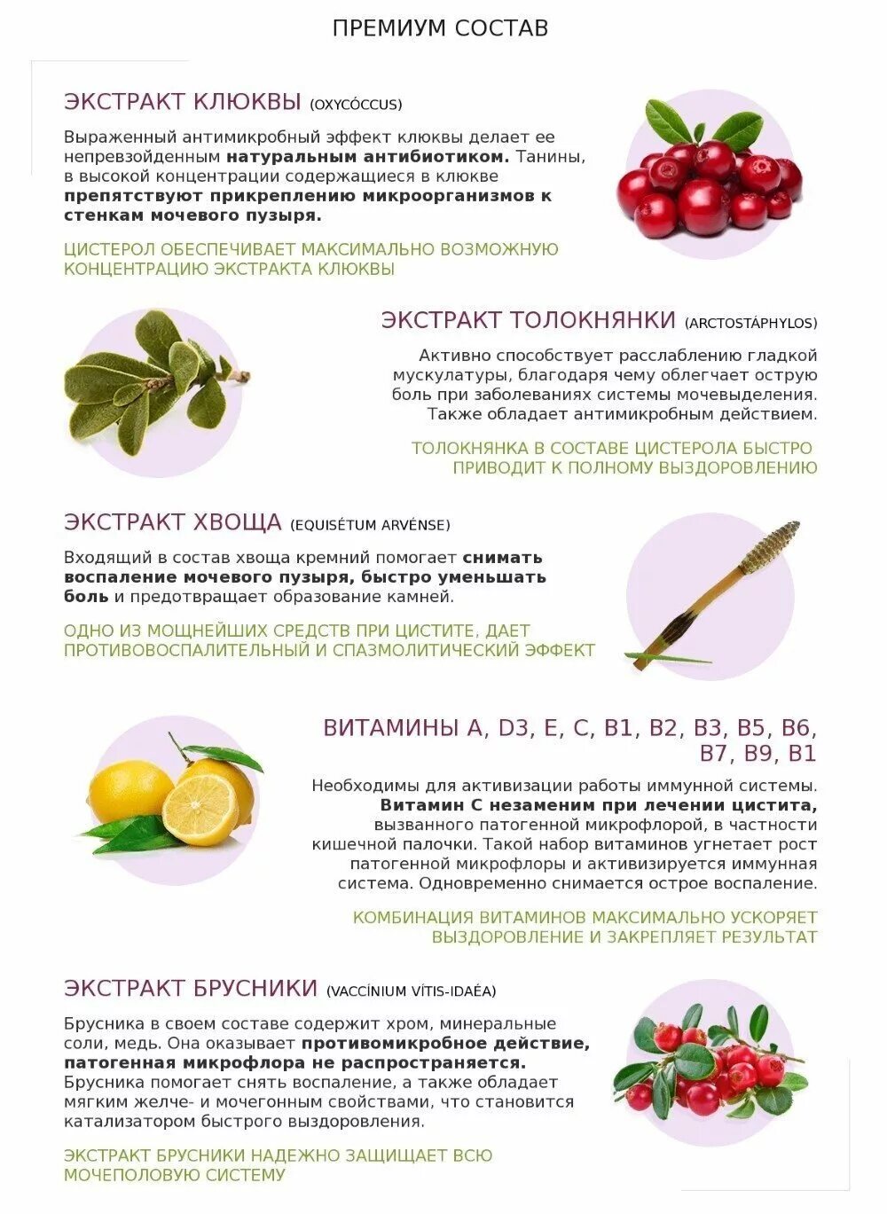 Овощи при цистите. Что можно есть при цистите. Что нельзя есть при цистите у женщин. Что можно есть при цистите. Цистит диета.