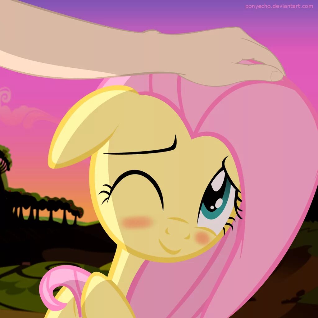 Petting pony. Погладь пони. Флаттершай кадры из мультика. Fluttershy человек. Флаттершай вайфу.