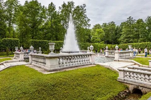 Жемчужина петергофа 242 санкт петербург