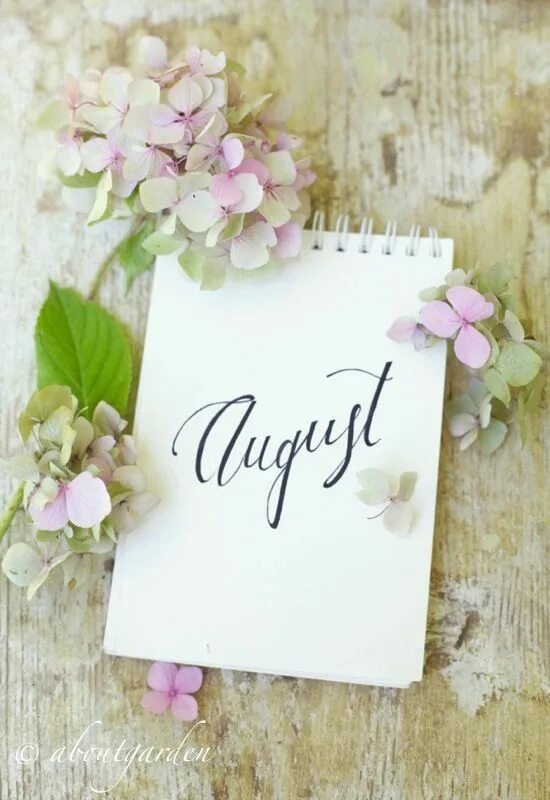 Hello lets me today. Hello august картинки. august month. открытки август пинтерест. 28 август пинтерест.