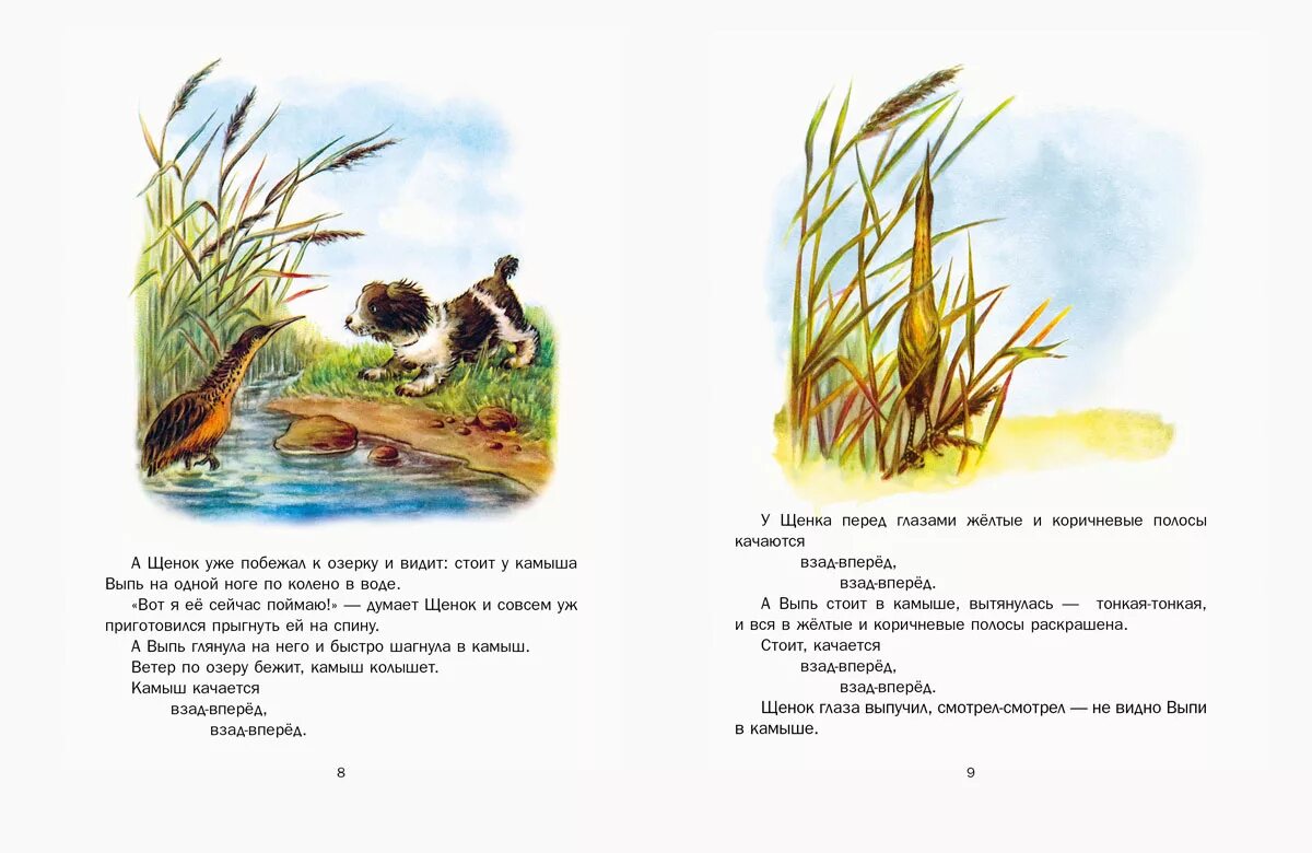 Бианки конспект урока 1 класс школа россии. Произведения Бианки первая охота. Чтение Бианки первая охота. Бианки первая охота книжка.