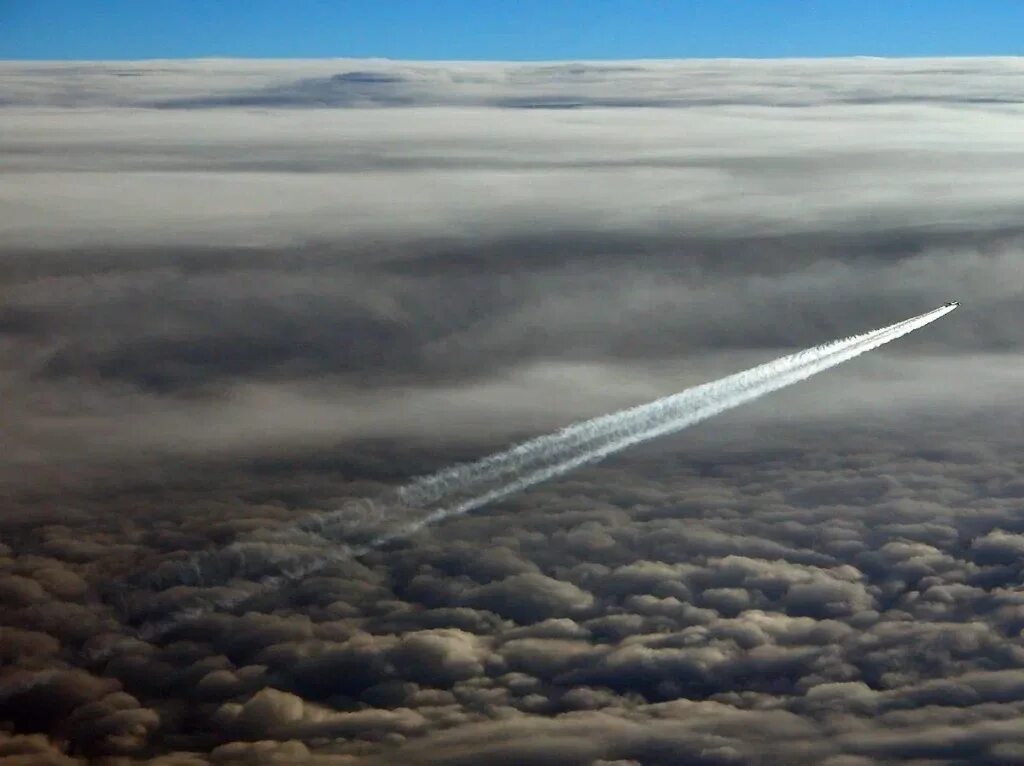 Неба совсем не видно. Инверсионный след Боинг 747. Инверсионный след Airbus a340. Инверсионный(конденсационный) след. Инверсионный след от самолета.